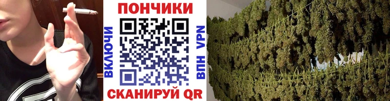 цены   Почеп  Канабис Bruce Banner 